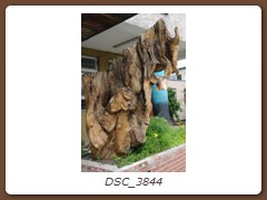 DSC_3844