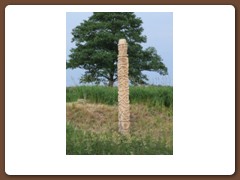 DSCF1348